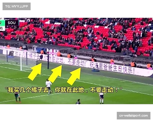 唐骏在欧冠赛场的表现与影响力分析及其对中国足球的启示 唐骏在欧冠赛场的表现与影响力分析及其对中国足球的启示